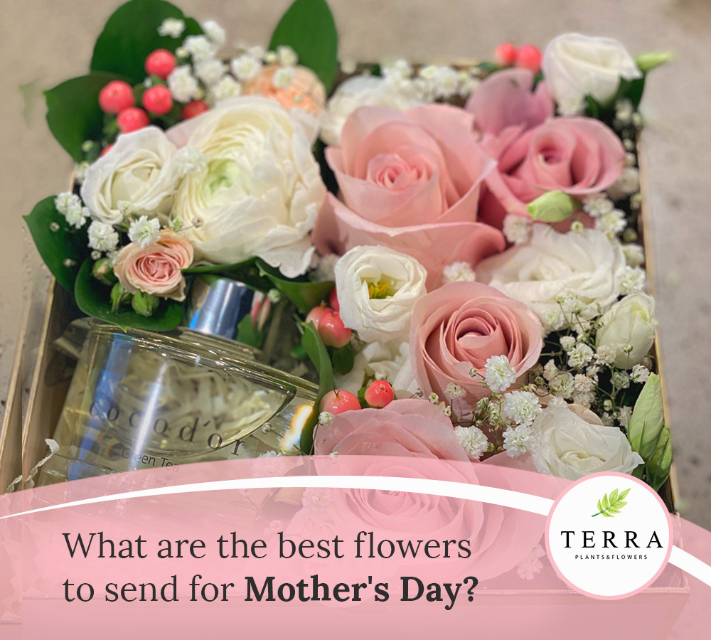 5 types of flowers for Mothers Day